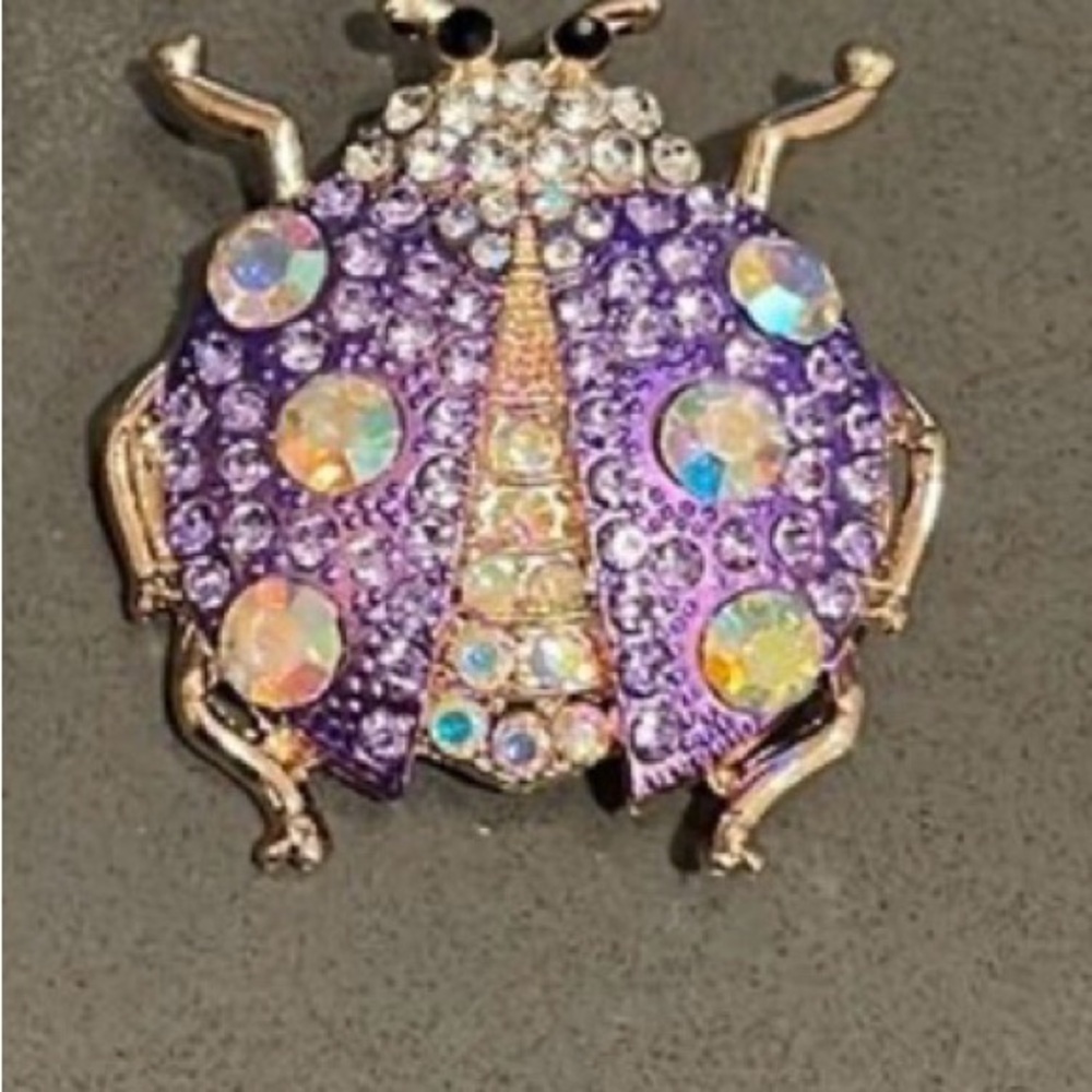 Purple and Gold Rhinestone Ladybug Brooch